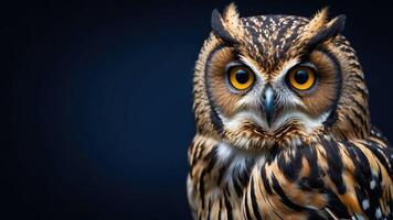 A close-up of a striking owl with vivid orange eyes and intricate feather patterns. photo