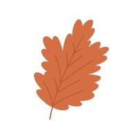 Cute hand drawn autumn leaf, cartoon flat illustration isolated on white background. Simple red fall leaf, nature design element. vector