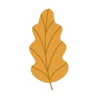 Cute hand drawn autumn leaf, cartoon flat illustration isolated on white background. Simple yellow fall leaf, nature design element. vector