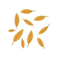 Hand drawn autumn leaves falling, cartoon flat illustration isolated on white background. Simple cute drawing of fall nature element. vector