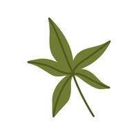 Cute hand drawn autumn leaf, cartoon flat illustration isolated on white background. Simple green fall leaf, nature design element. vector