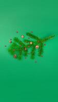 Tree branch with cones and mountain ash. New Year and Christmas content green background isolated vertical poster banner photo