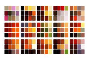 Dark burgundy color palette. Trend color palette guide template. Fit for fashion designers, business, and paints colors company. Match combinations. Eps 10. vector
