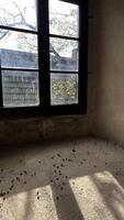 Old windows in the castle, view from the inside Poland photo
