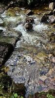 A small mountain river with a flow of water in the Polish mountains. Eastern Sudetes photo