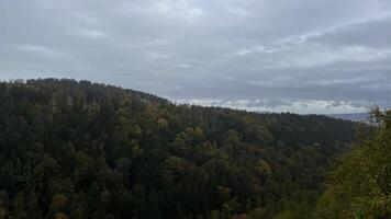 View of autumn mountain forest with cloudy weather. Poland photo