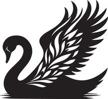 A black swan with wings on a white background vector