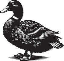 A black and white drawing of a duck vector