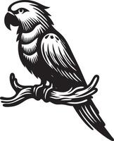 A black and white illustration of a parrot sitting on a branch vector