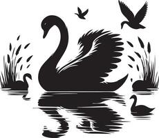 Swan and swans in the water vector