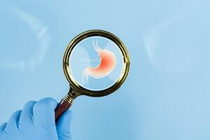 Stomach with magnifying glass. A person is holding a magnifying glass up to a picture of a stomach. photo