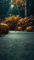 three pumpkins on a stone pathway a forest setting photo