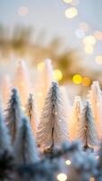 small white pine trees illuminated by warm lights photo