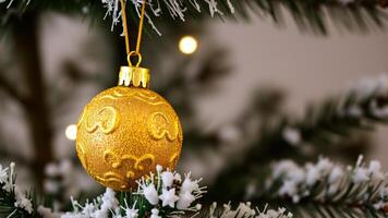 glittering gold christmas ornament hangs on a frosted pine branch photo