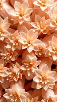 delicate peach-colored flowers overlap a textured cluster photo