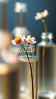 two delicate flowers a clear glass bottle photo