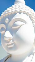 serene white sculpture a face with closed eyes photo