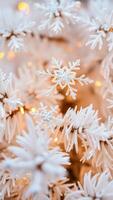 shiny silver snowflake ornament on a white tree branch photo