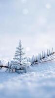 miniature silver pine tree a snowy landscape photo
