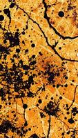 abstract surface with black dots lines photo
