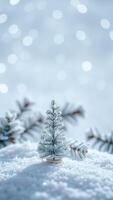 frosted evergreen tree a snowy winter wonderland photo