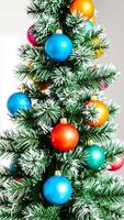 colorful ornaments adorn a frosted pine tree photo