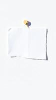 single sheet white paper attached a wall with a gold push pin photo