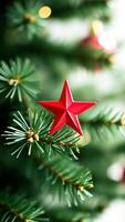 shiny red star ornament adorns a pine branch photo