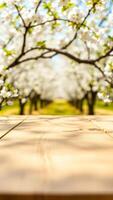 wooden table with a blurred background white blossoms photo