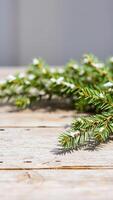 single pine branch with snow on a wooden surface photo