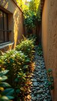 sunlit passageway lined with stones lush foliage photo