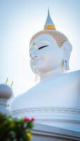 close- a white statue with a serene expression photo