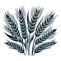 A wheat field with ears of wheat vector