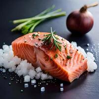 Salmon with rosemary and salt on a black background photo