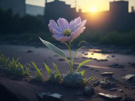A flower growing in the middle of a field photo