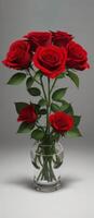 Red roses in a vase on a table photo