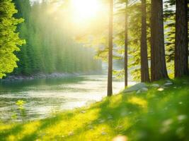 A river in the forest with trees and grass photo