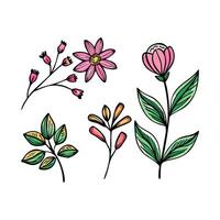 Hand drawn flowers and leaves on white background vector