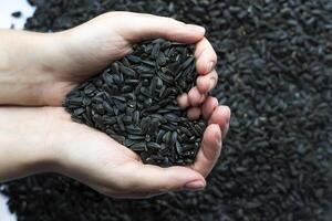 Close-up view of Woman's hands heart shaped holding a pile of sunflower seeds over black seeds. photo