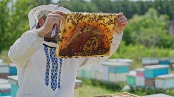 Beekeeper is working with bees and beehives on the apiary. Bees on honeycomb. Frames of a bee hive. Beekeeping. Honey. video