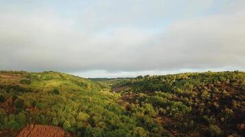 Beautiful natural view of green forests on hills and fields under the light cloudy sky. Flight over wonderful landscape in summer. Aerial view video