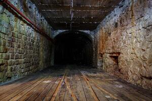 This dark underground tunnel features aged brick walls and a creaky wooden floor. It is unsafe for children to explore alone due to insects and rodents that lurk in the shadows. photo