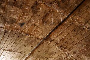 The stalactites are formed from dissolved minerals in water that drips from the roof of the mine shaft. Over time, the minerals build up and form the stalactites. photo
