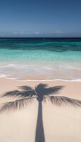 Tropical Paradise Palm Tree Shadow on Idyllic White Sand Beach with Turquoise Ocean and Blue Sky photo