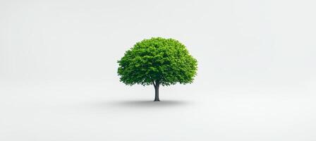 Lush, Green Tree Isolated on White An Environmental Concept Representing Sustainability and Nature. photo