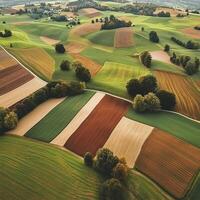 Geometric Landscape. Scenic Aerial View of Colorful Farm Fields Agricultural Pattern in Rural Area photo