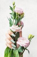 Delicate hand holding a bouquet of pale pink flowers against a soft background in natural light photo