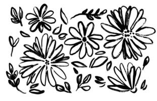 Ink brush flower. Minimalist botanical brush ink strokes. Hand drawn flowers and abstract floral elements. Sketch petals, buds, branches in natural inky style. Decorative design vector
