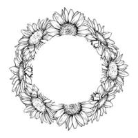 Sunflower Wreath. Round Flower Frame painted by black inks. Floral sketch in outline style. monochrome illustration with line art flowers vector