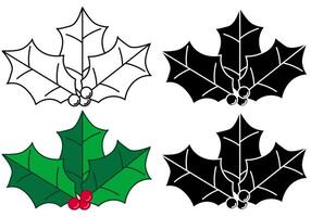 Set of festive Holly vectors in Black and white and colour versions isolated on a white background